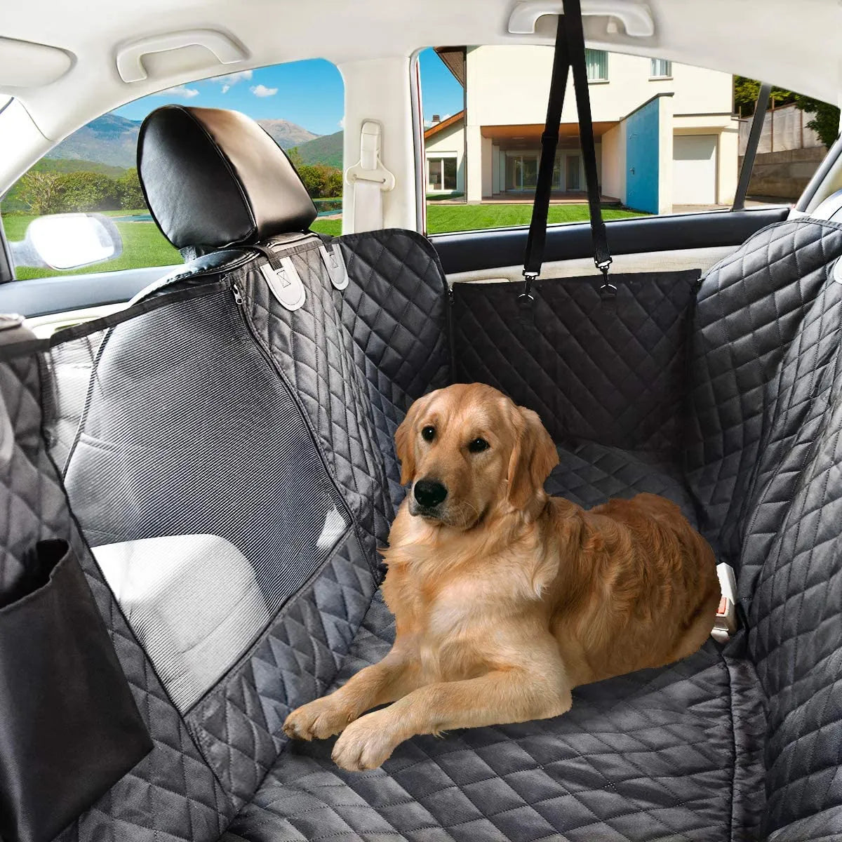 RidePaws Hundematte fürs Auto – Divaly